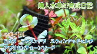 Thumbnail of post image 200